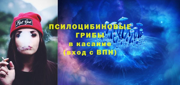 твердый Балахна